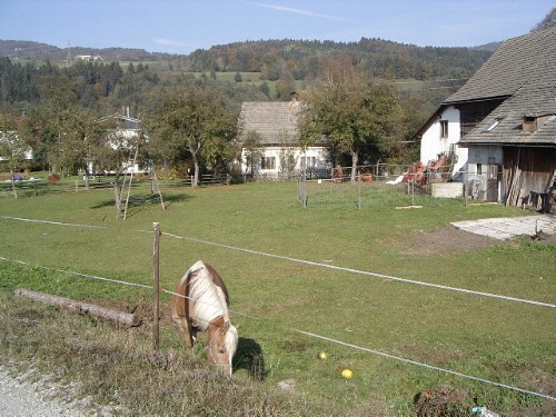 Zeluce 191003 015.jpg